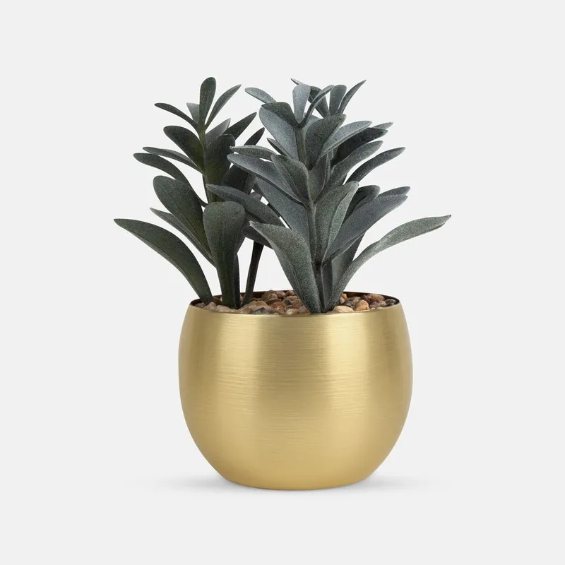 PLANTA